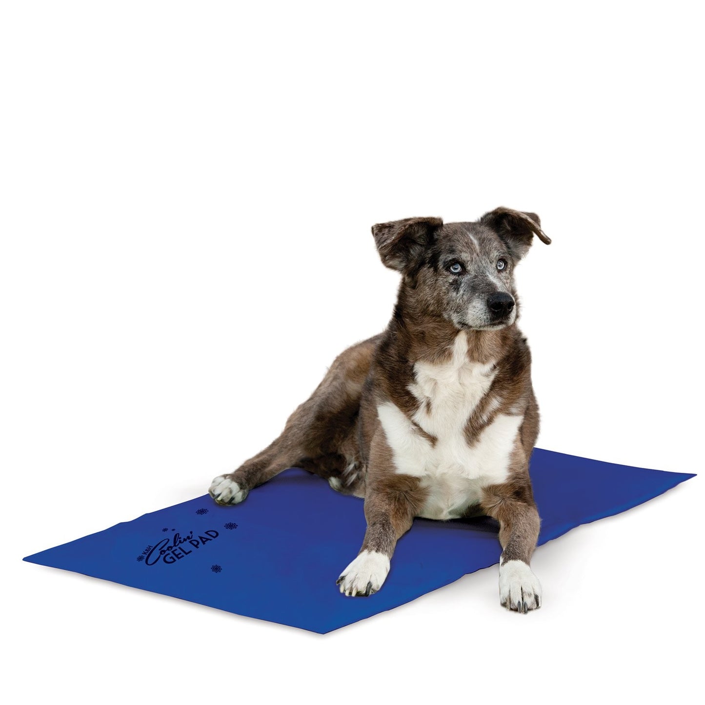 K & H Coolin' Pet Pad 95 x 67cm