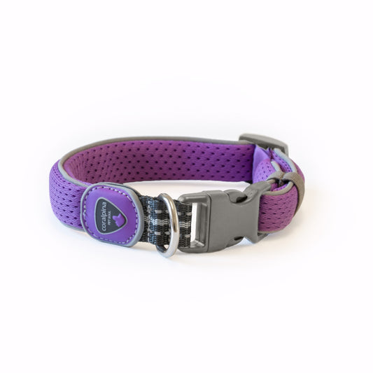 CORALPINA Carezza Dog Collar Lilac (SZ1) 20-25cm