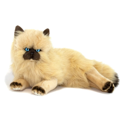 BOCCHETTA Plsh Toy Violet (Himalayan Cat - 38cm lying)