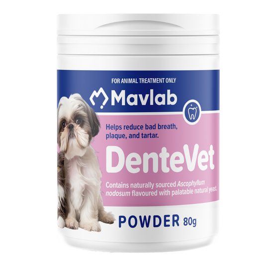 MAVLAB Dentevet Powder For Dogs & Cats 80g