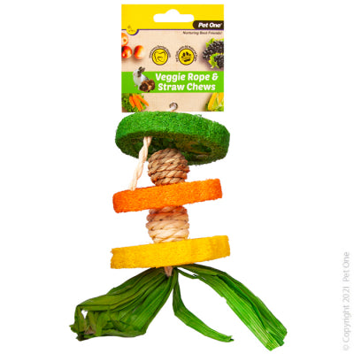 PET ONE VEGGIE ROPE AND STRAW CHEW HANGING HULA 19CM