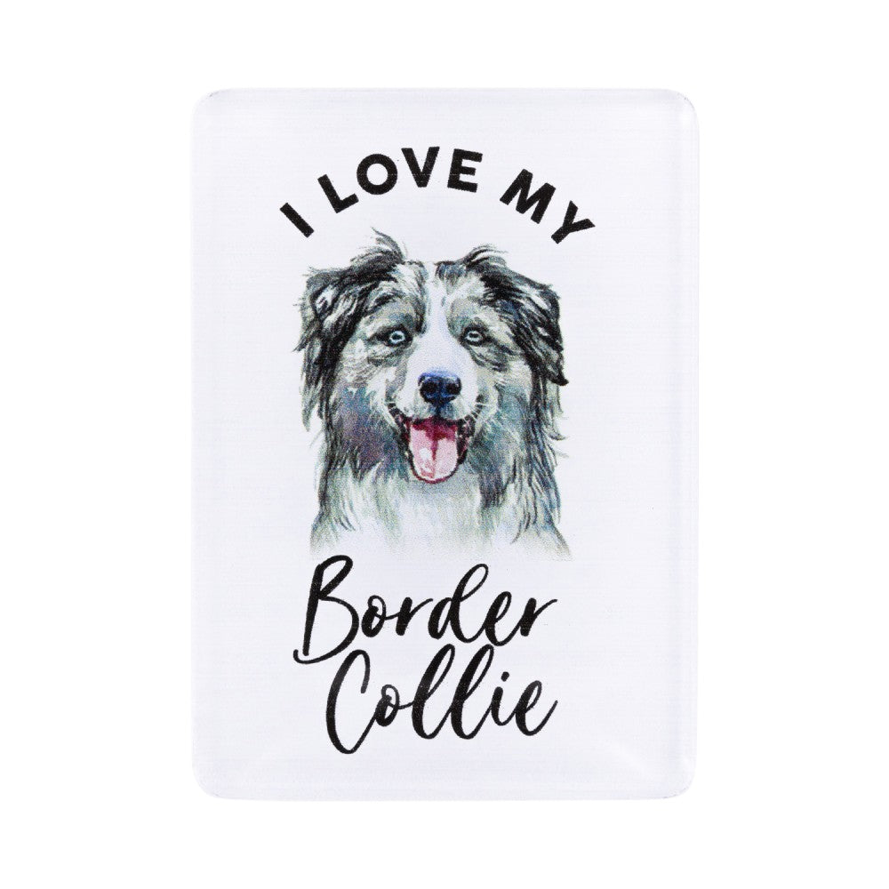 SPLOSH PET LOVERS BORDER COLLIE ACRYLIC MAGNET