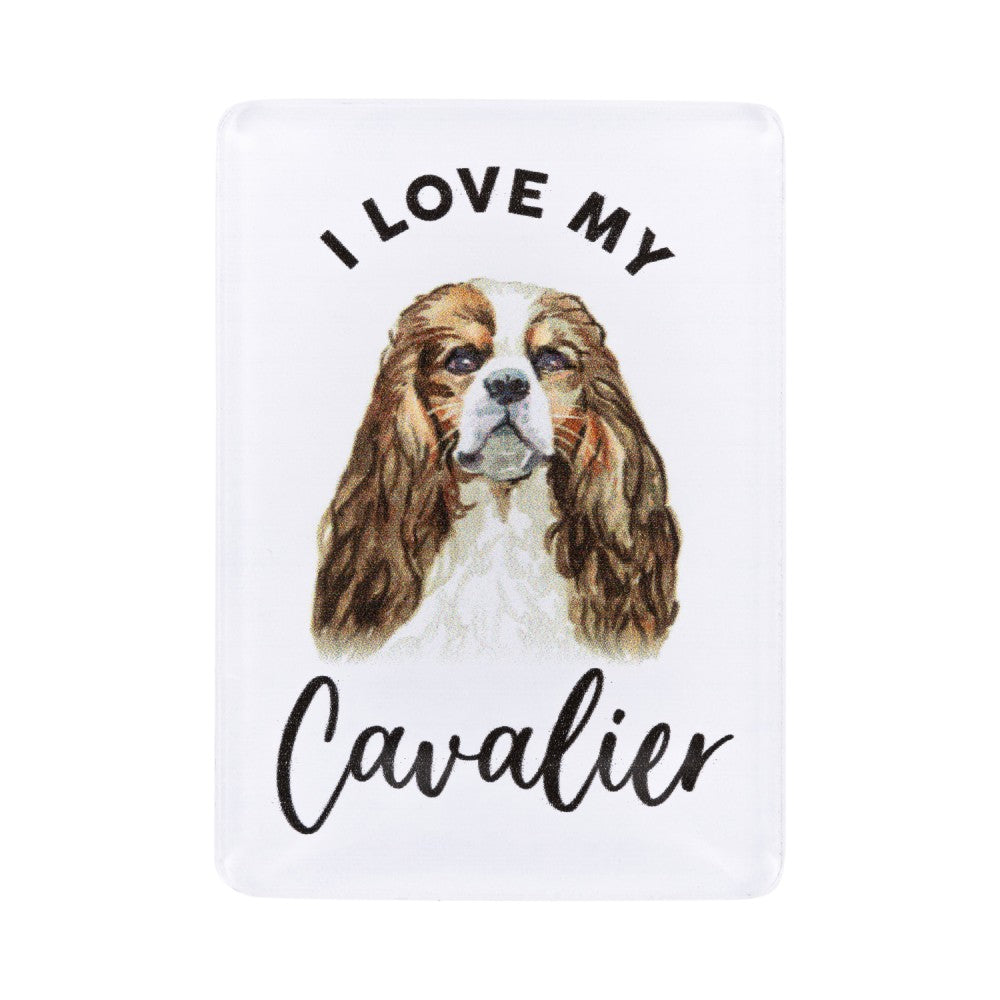 SPLOSH PET LOVERS CAVALIER ACRYLIC MAGNET