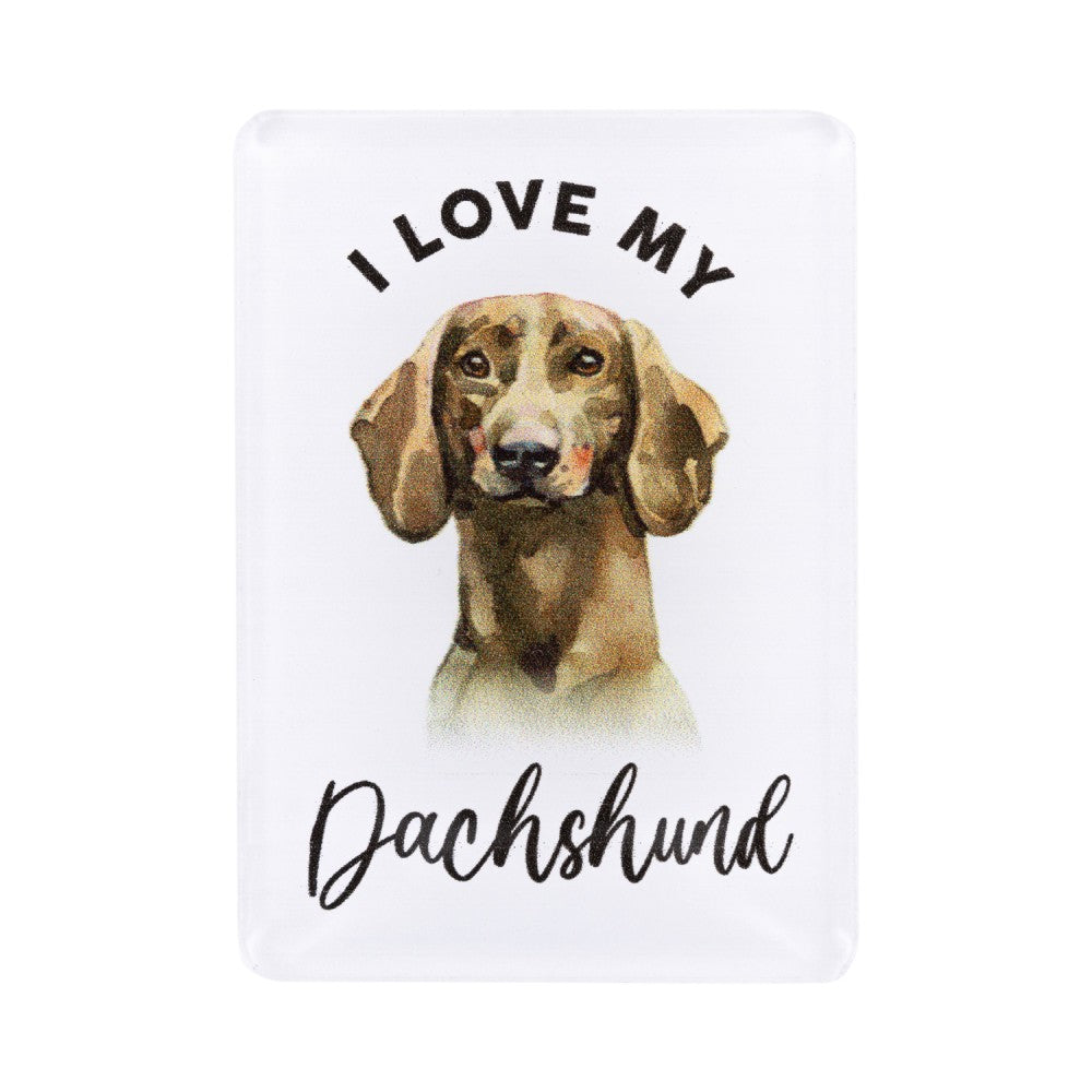 SPLOSH PET LOVERS DACHSHUND ACRYLIC MAGNET