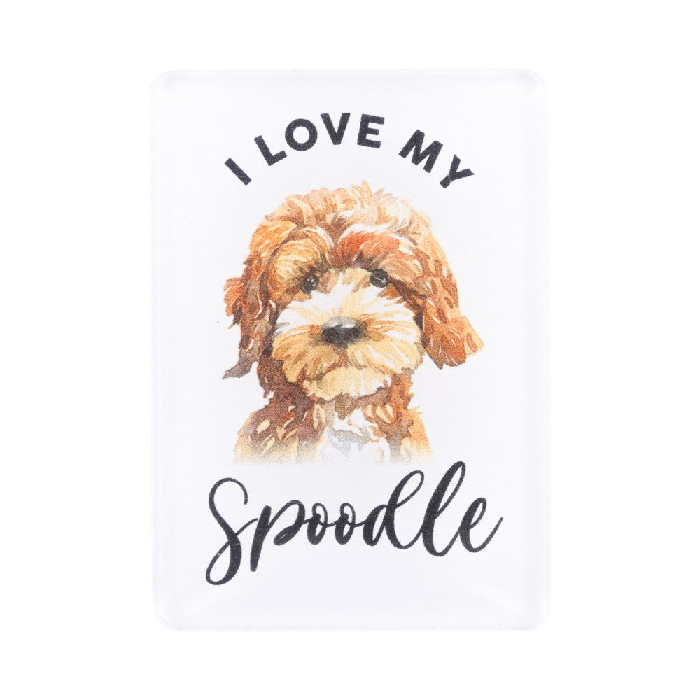 SPLOSH PET LOVERS SPOODLE ACRYLIC MAGNET