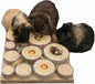 ROSEWOOD MAZE-A-LOG TREAT CHALLENGE FOR SMALL ANIMALS