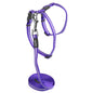 ROGZ ALLEYCAT HARNESS & LEAD SET PURPLE 8MM