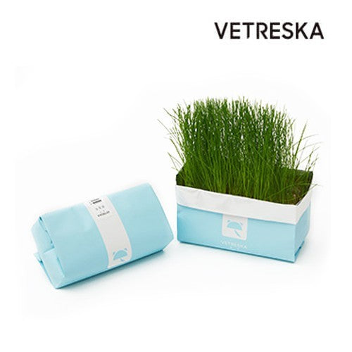 VETRESKA CAT GRASS SOILLESS SEEDS RYEGRASS ? BLUE