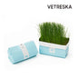 VETRESKA CAT GRASS SOILLESS SEEDS RYEGRASS ? BLUE