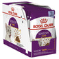 ROYAL CANIN SENSORY TASTE JELLY WET CAT FOOD 85G X 12PK