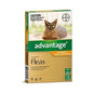 ADVANTAGE CAT & KIT SML TO 4KG ORANGE 6PK