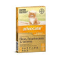 ADVOCATE CAT & KITTEN UNDER 4KG ORANGE 3PK