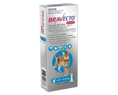 BRAVECTO PLUS SPOT ON CATS BLUE MEDIUM2.8-6.2KG (1 PACK)