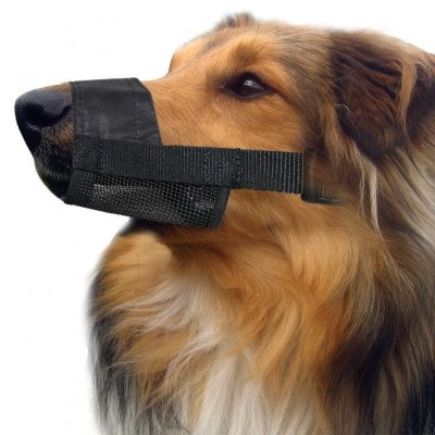 PET ONE ADJUSTABLE MUZZLE NYLON MEDIUM