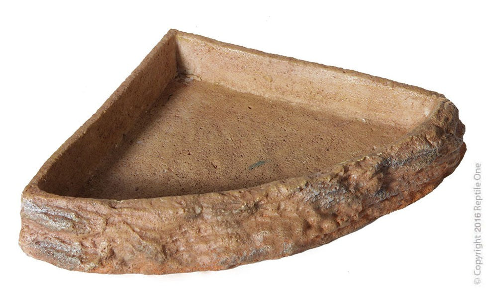 REPTILE ONE CORNER BOWL MEDIUM (9.5 X9.5 X 2.3 CM)