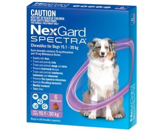 NEXGARD SPECTRA PURPLE 15.1KG TO 30KG 6PK - PAMPERED PETZ HORNSBY