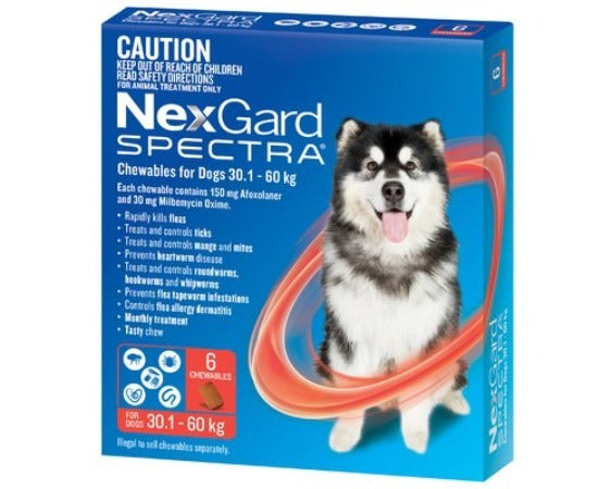 NEXGARD SPECTRA RED 30.1KG TO 60KG 6PK - PAMPERED PETZ HORNSBY