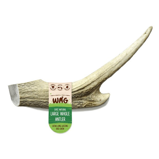 WAG ANTLER LARGE WHOLE