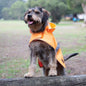 KAZOO RAINY DAYS COAT NEON ORANGE 27CM