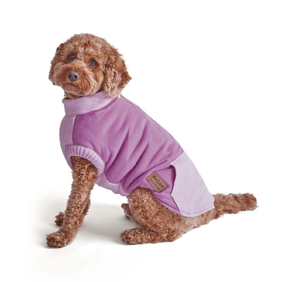 Kazoo dog jacket best sale