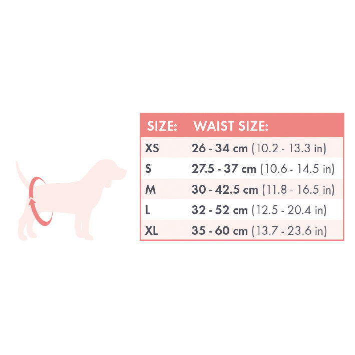 Extra large best sale female dog diapers